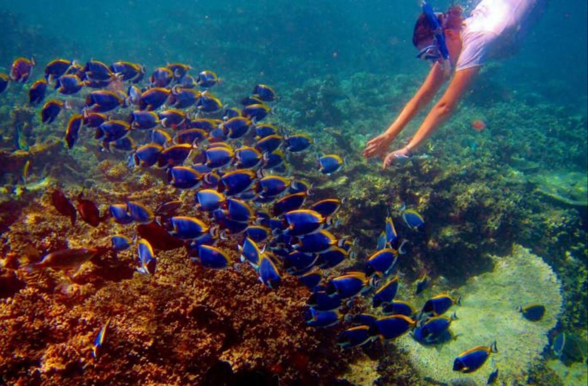 Hotel Octave Maldives Malé Eksteriør billede